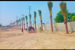 WhatsApp-Image-2024-03-10-at-10.13.46-PM-1