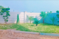 WhatsApp-Image-2024-03-10-at-10.13.46-PM-2