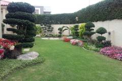 IMG-20191107-WA0199-1