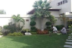 IMG-20191107-WA0201-1