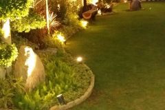 IMG-20191107-WA0225-1