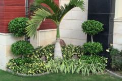 IMG-20191107-WA0226-1