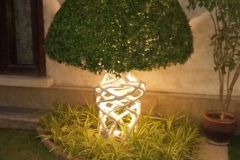 IMG-20191107-WA0227-1