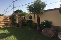 IMG-20191107-WA0228-1